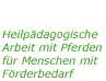 Heilpädagogische Arbeit mit Pferden für Menschen mit Förderbedarf