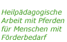 Heilpädagogische Arbeit mit Pferden für Menschen mit Förderbedarf